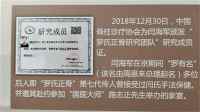 中医脊梁闫海军：传承岐黄薪火，点亮健康之光