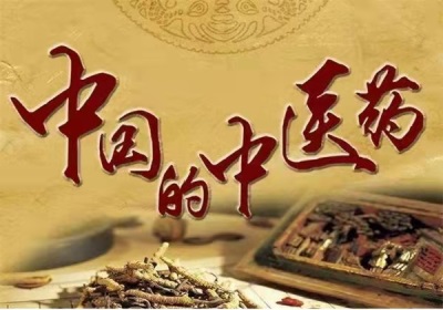 中道闻信堂：以创新敷贴技术破解衰老谜题，重新定义养生新方案
