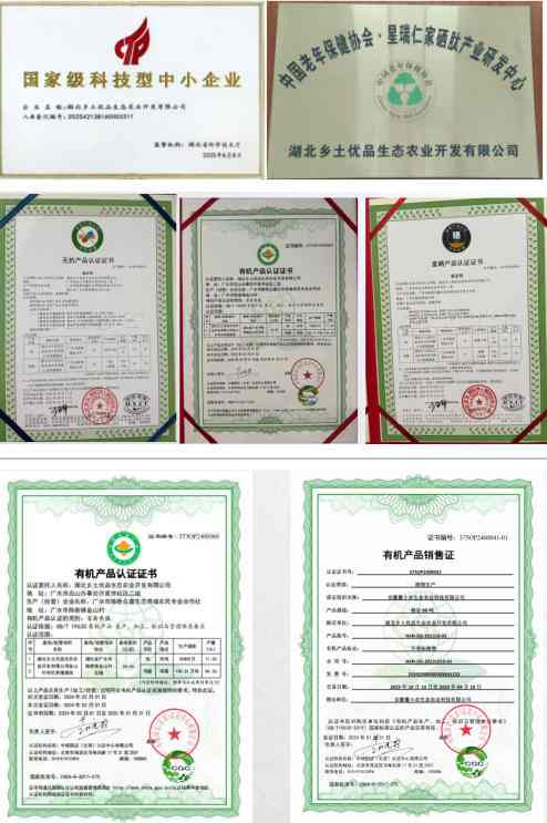 喜迎两会特别报道 生态养殖赋能乡村振兴：湖北乡土优品的“土鸡”突围之路