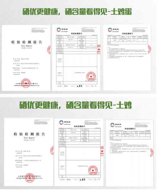 喜迎两会特别报道 生态养殖赋能乡村振兴：湖北乡土优品的“土鸡”突围之路