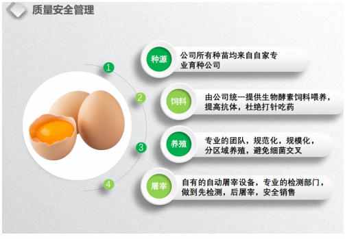 喜迎两会特别报道 生态养殖赋能乡村振兴：湖北乡土优品的“土鸡”突围之路