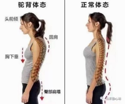任向苗徒手中医显奇妙