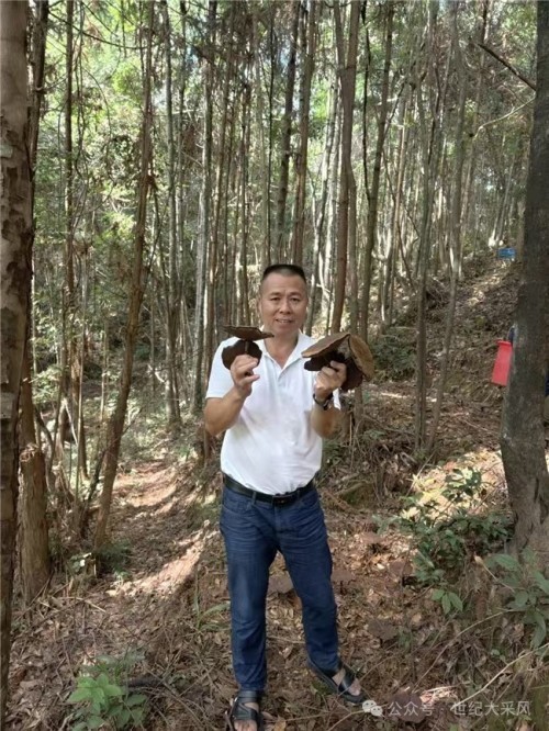 福建武平梁野珍堂林文辉：从退伍军人到中国灵芝文化名片的传递者