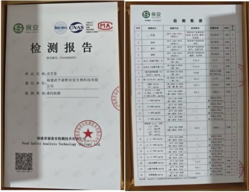 福建武平梁野珍堂林文辉：从退伍军人到中国灵芝文化名片的传递者