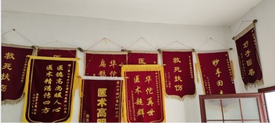 以人民为中心：基层医者汪炳炎用中西医智慧筑牢蛇伤防护网