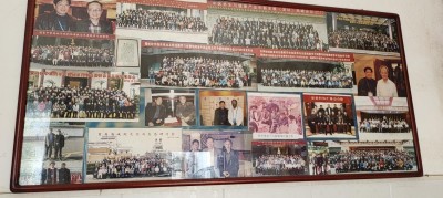 以人民为中心：基层医者汪炳炎用中西医智慧筑牢蛇伤防护网