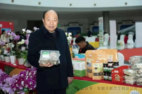 菇香万里铸初心，共富路上担使命---记“蘑菇大王”丁伦保的奋斗征程
