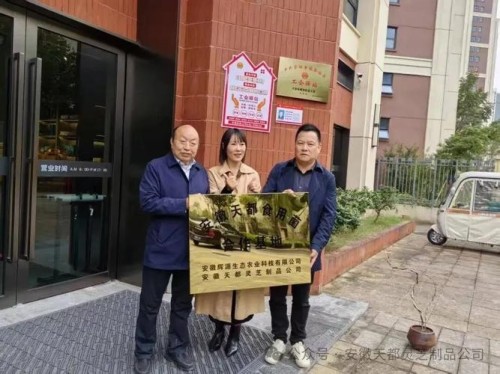 菇香万里铸初心，共富路上担使命---记“蘑菇大王”丁伦保的奋斗征程