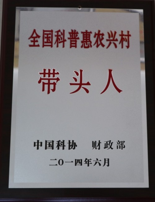 菇香万里铸初心，共富路上担使命---记“蘑菇大王”丁伦保的奋斗征程