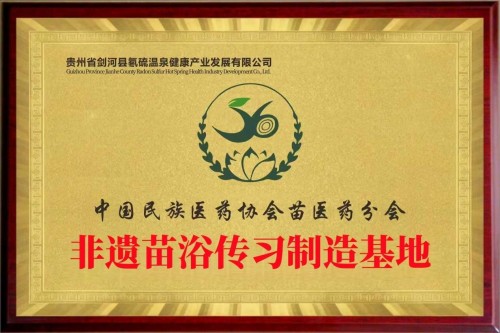 守正创新传瑰宝 苗医济世惠民生 —— 王开香与苗草铺子共筑民族医药新征程