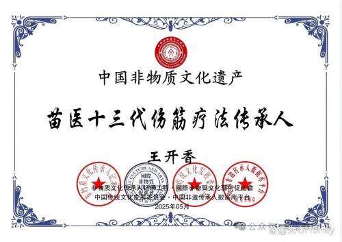 守正创新传瑰宝 苗医济世惠民生 —— 王开香与苗草铺子共筑民族医药新征程