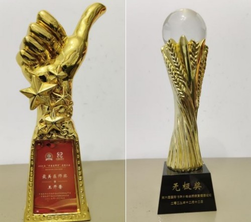 守正创新传瑰宝 苗医济世惠民生 —— 王开香与苗草铺子共筑民族医药新征程