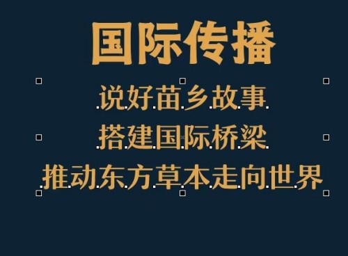 守正创新传瑰宝 苗医济世惠民生 —— 王开香与苗草铺子共筑民族医药新征程