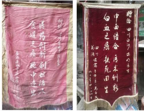 中国著名医学专家李明与他的龙凤福寿参传奇