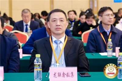 深度解析《龙联翕数集》去中心化数智文化平台赋能AI时代词元价值体系