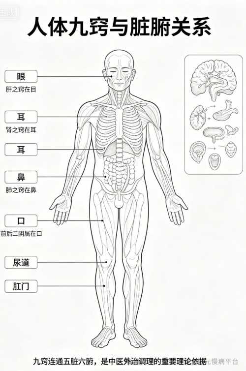 新品上线｜中药离子雾化能量治疗仪：传承中医智慧，创新无创康养方式