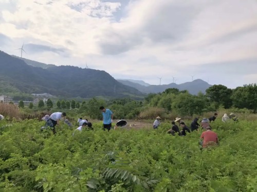 【江西药仙谷】六十载医者初心，不负中医药美丽家园