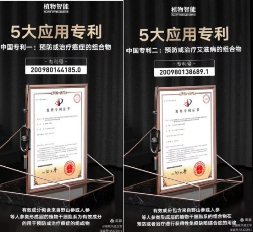 礼赞七一：初心如磐，使命在肩——记新时代先锋人物张冬红