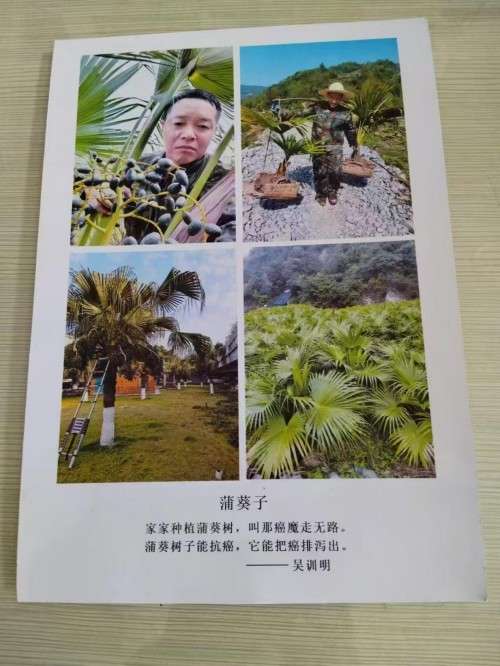 【礼赞八一建军节特别报道】 国宝级中医——吴训明