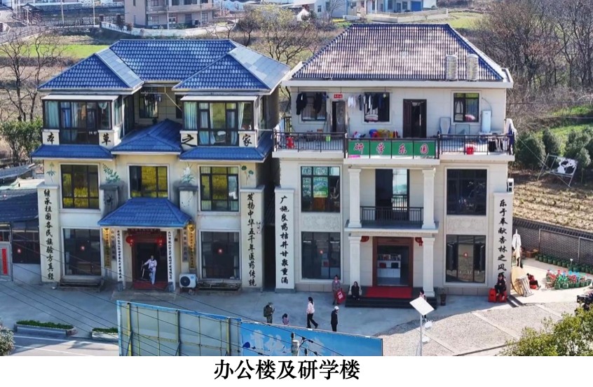 本草润苍生 岐黄济世人：江西非遗中医传承人蔡锦芳的济世之路