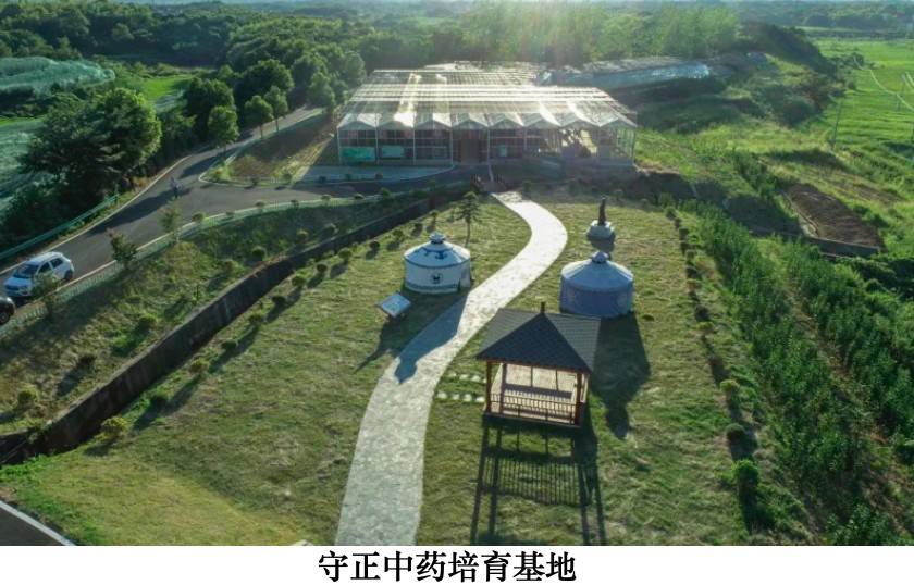 本草藏心承岐黄　济世传薪谱华章 济世堂蔡氏中医药非遗代表性传承人、中医学者蔡锦芳