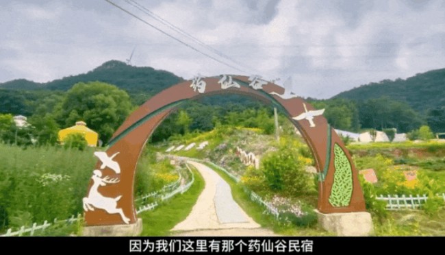 本草藏心承岐黄　济世传薪谱华章 济世堂蔡氏中医药非遗代表性传承人、中医学者蔡锦芳