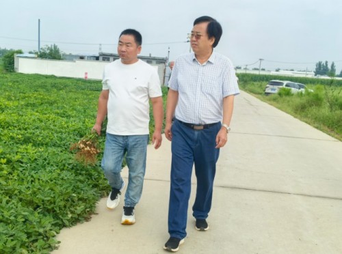 校企协同探新路 产教融合促振兴——河北农业大学花生创新团队赴唐山卓赢农业花生新品种繁育基地实地交流