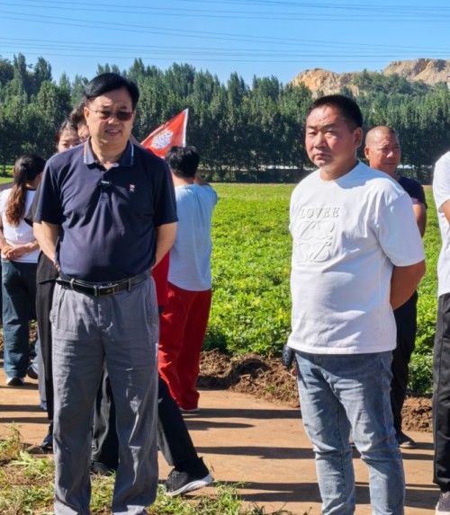 校企协同探新路 产教融合促振兴——河北农业大学花生创新团队赴唐山卓赢农业花生新品种繁育基地实地交流