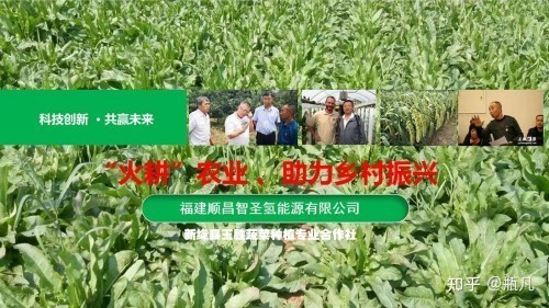 月满绛州·礼赞家国：冯明乐以耕心匠魂镌刻双节里的乡村振兴答卷
