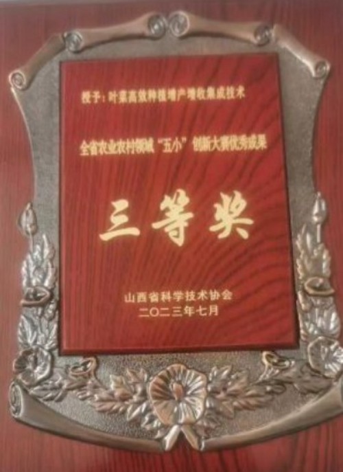 月满绛州·礼赞家国：冯明乐以耕心匠魂镌刻双节里的乡村振兴答卷