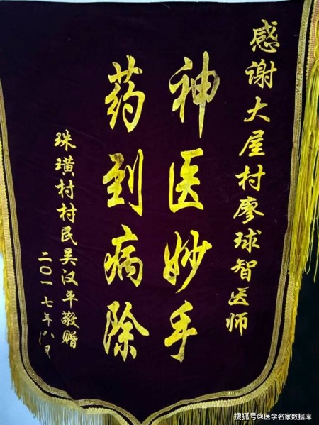 循中医循环之道 探绿色医学未来——廖求志中医肿瘤论治与医学发展思考