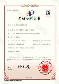 陈林峰零平衡量子哲学泰斗接受菲利浦·武亚诺维奇、博里斯·塔迪奇、伊沃·约约西波维奇三位前总统阁下会晤