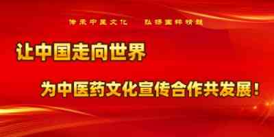 中医张志励：传统与现代交织的中医践行者