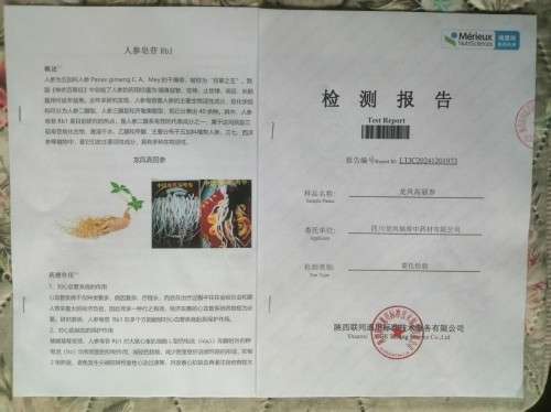中国著名医学专家李明与他的龙凤福寿参传奇