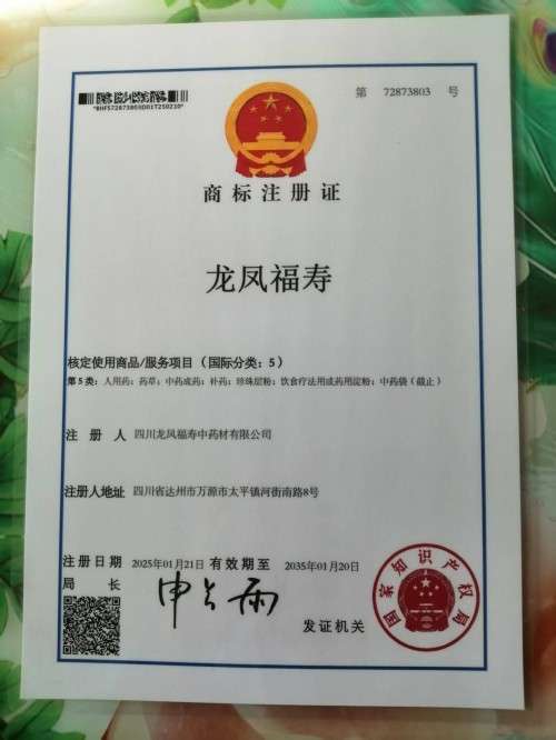 中国著名医学专家李明与他的龙凤福寿参传奇