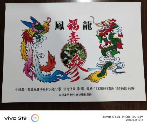 中国著名医学专家李明与他的龙凤福寿参传奇